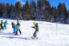 IMG_20250215_152740_1