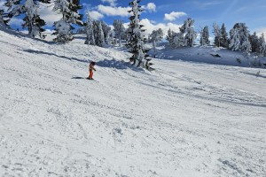 Sortie du 21 février 2026